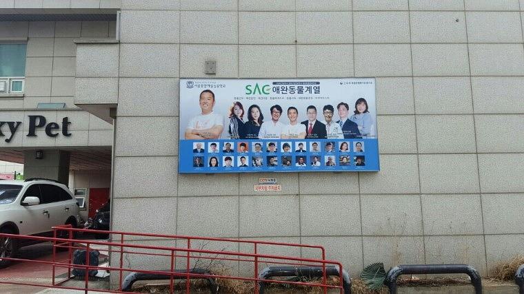 서울종합예술학교 시트지 (3.3M x 1.6M)