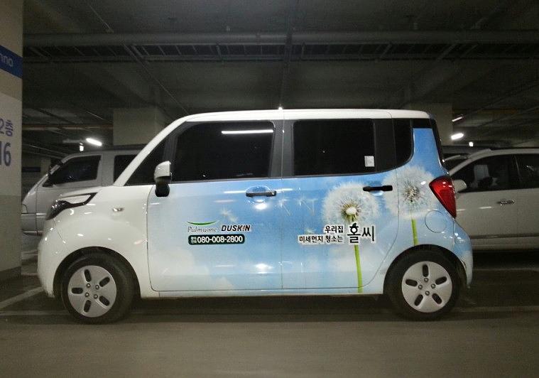 레이 홀씨 풀랩핑