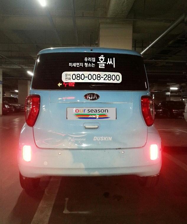 레이 홀씨 풀랩핑