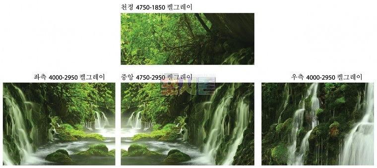 니콘 행사용 백월 시트지