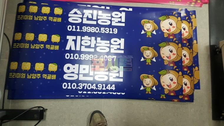 남양주먹골배 차량용 자석시트지 324EA