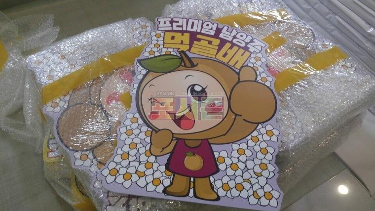 남양주 먹골배 포맥스3T 캐릭터 판넬 216EA