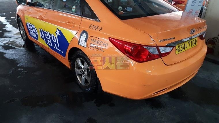 사람인 서울택시광고 3000대 랩핑